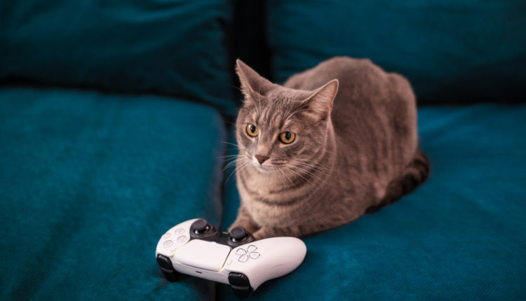 PS5 DualSense extrák kerülhetnek az új Xbox-kontrollerbe? – Index