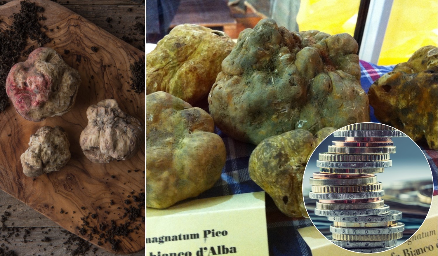 Döbbenet! Ennyibe került egy fehér szarvasgomba