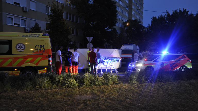 Gondatlan emberöléssel gyanúsítják L. L. Junior elgázolt kisfiának édesanyját